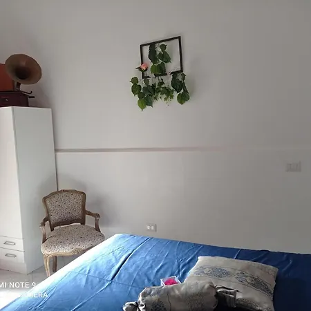 Don Pablo Гостевой дом